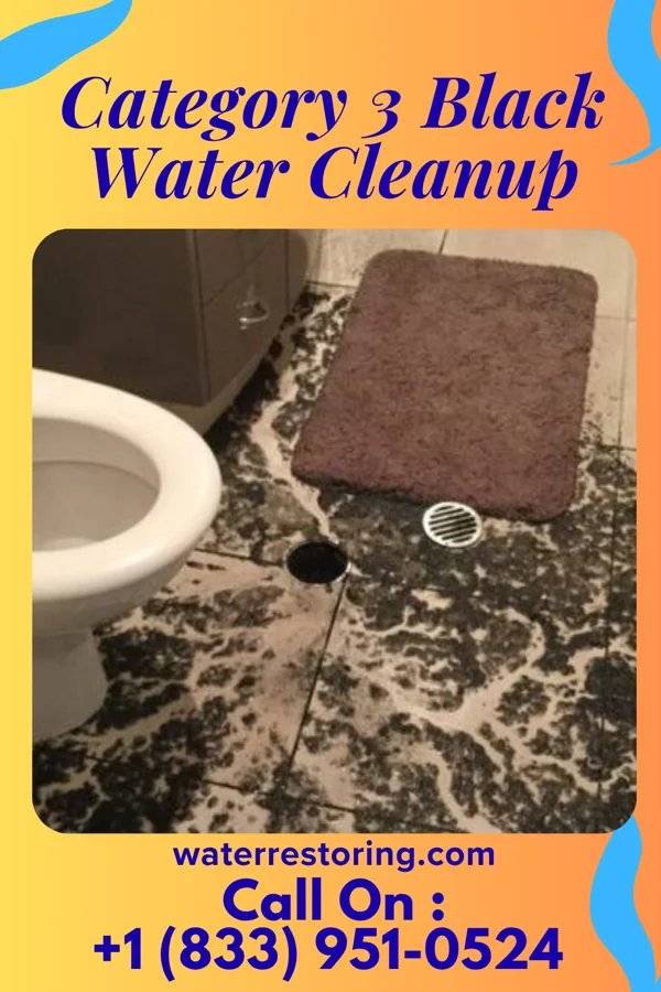Category 3 Black Water Cleanup in Prague, OK